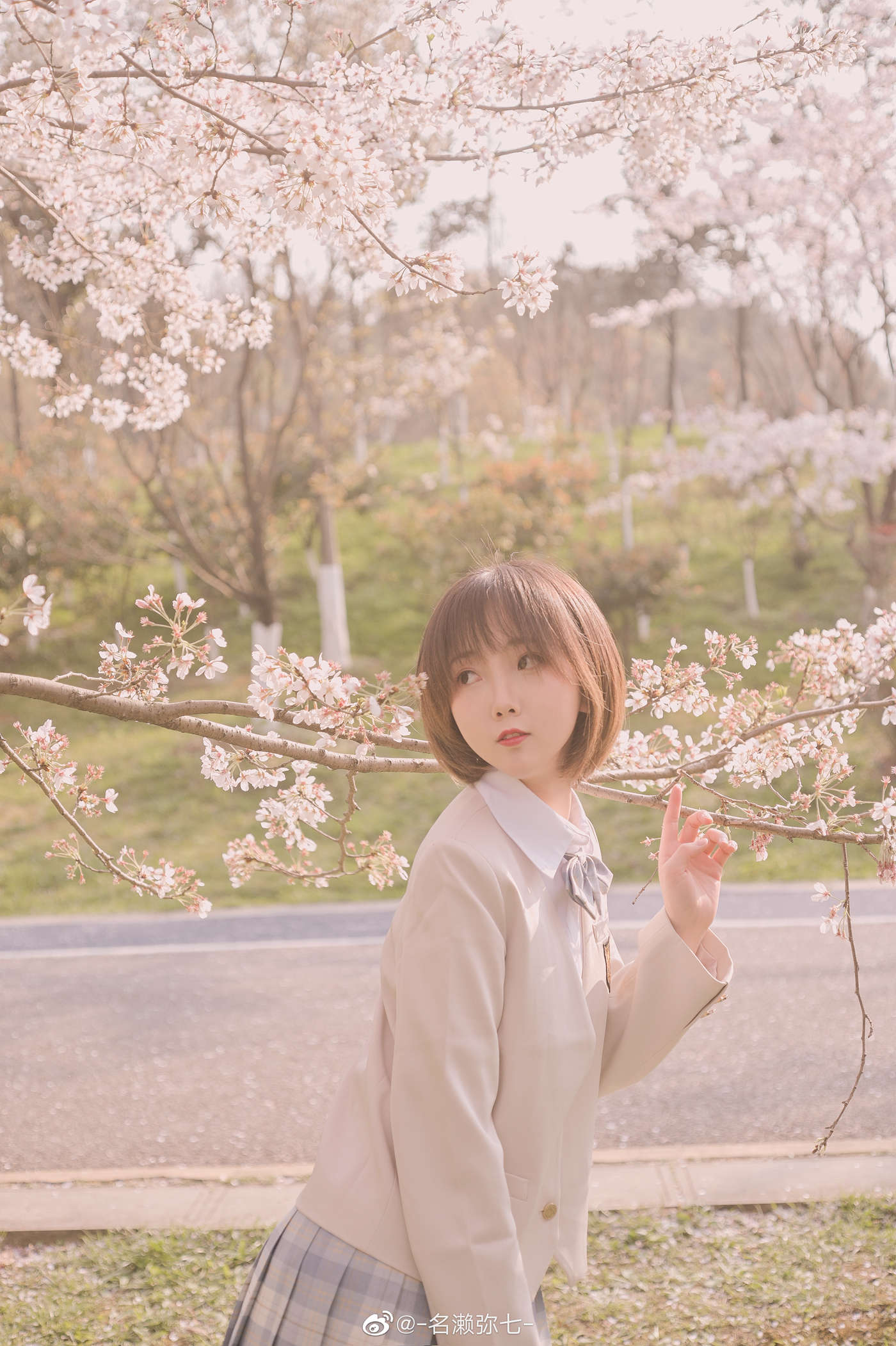 名濑弥七 – 樱花 [14P/83.3MB]插图1