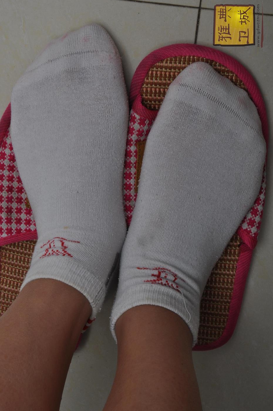 雅典卫城 014 居家棉袜 [123P/88M]插图2