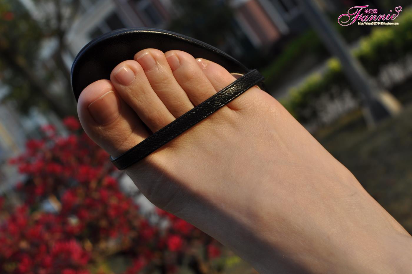 Fannie芬妮每足园 No.079 触摸阳光4 [43P/136MB]插图1