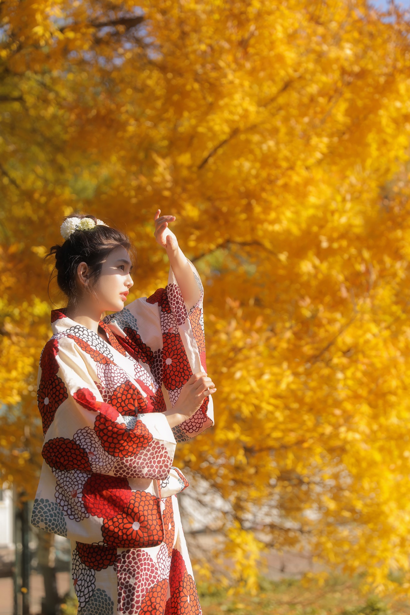 [YITUYU艺图语] 2022.06.13 京都约定 凡凡 [24P/166MB]