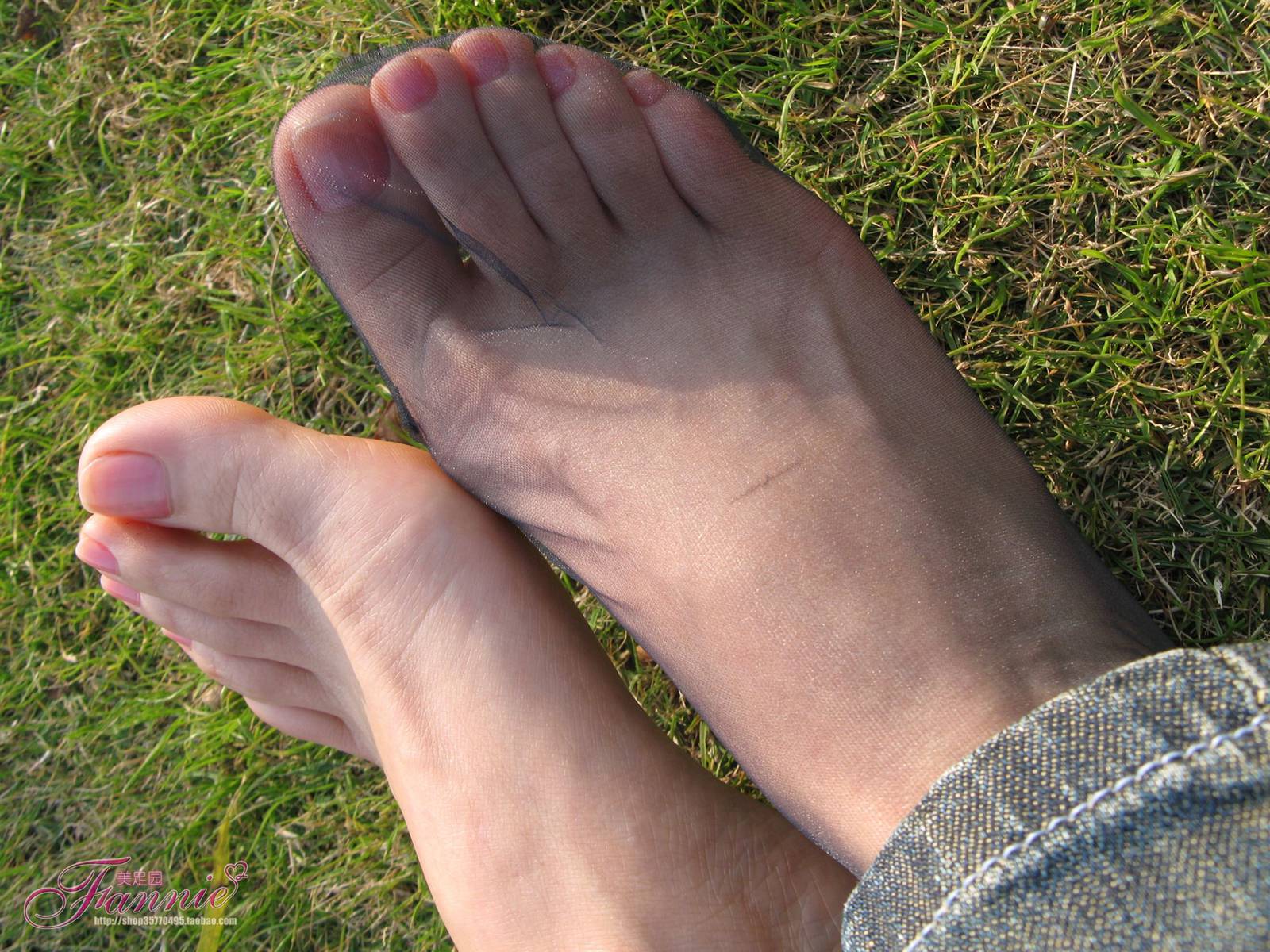 Fannie芬妮每足园 No.364 窃窃私语灰丝 [88P/236MB]插图3