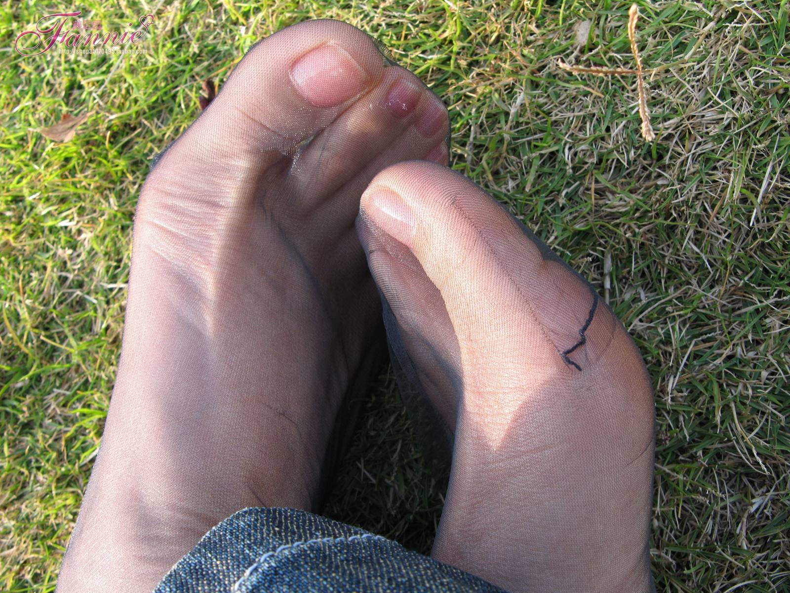 Fannie芬妮每足园 No.364 窃窃私语灰丝 [88P/236MB]插图1