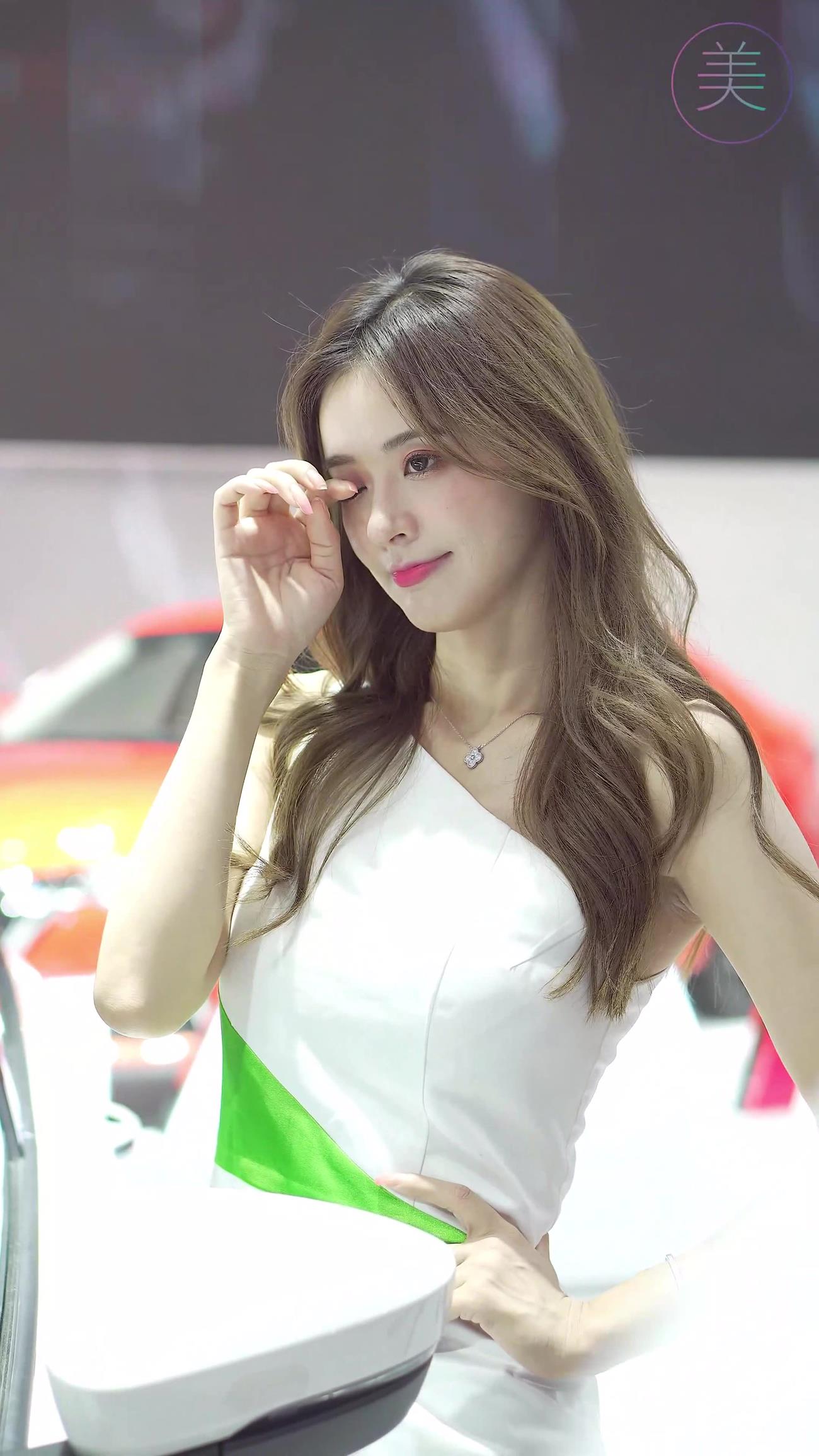 NO.0314 2021 深圳大湾区车展 Racing Model SKODA车模04[1V/487MB]插图3