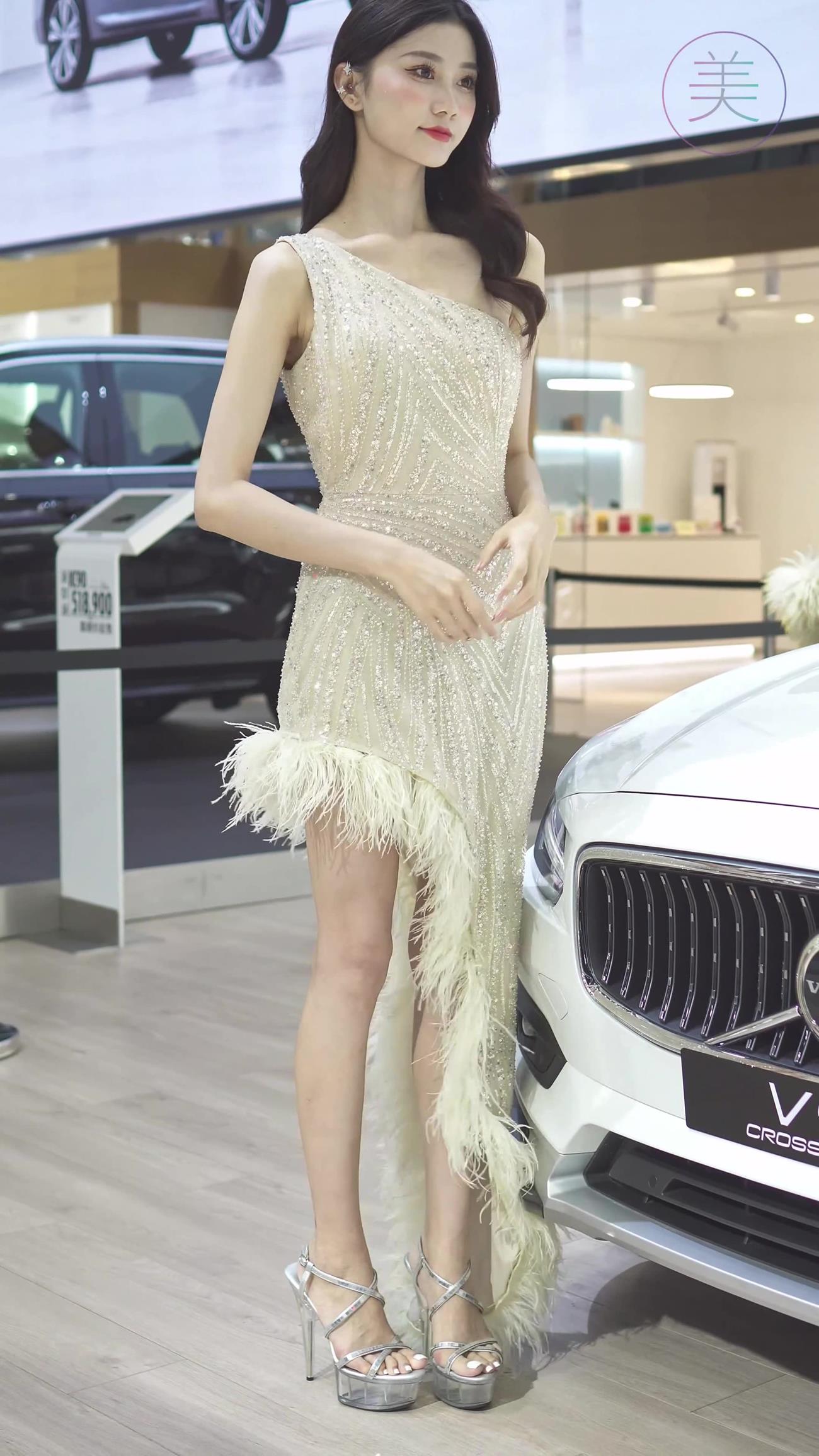 NO.0296 2021 深圳车展 Racing Model VOLVO车模02[1V/246MB]插图2