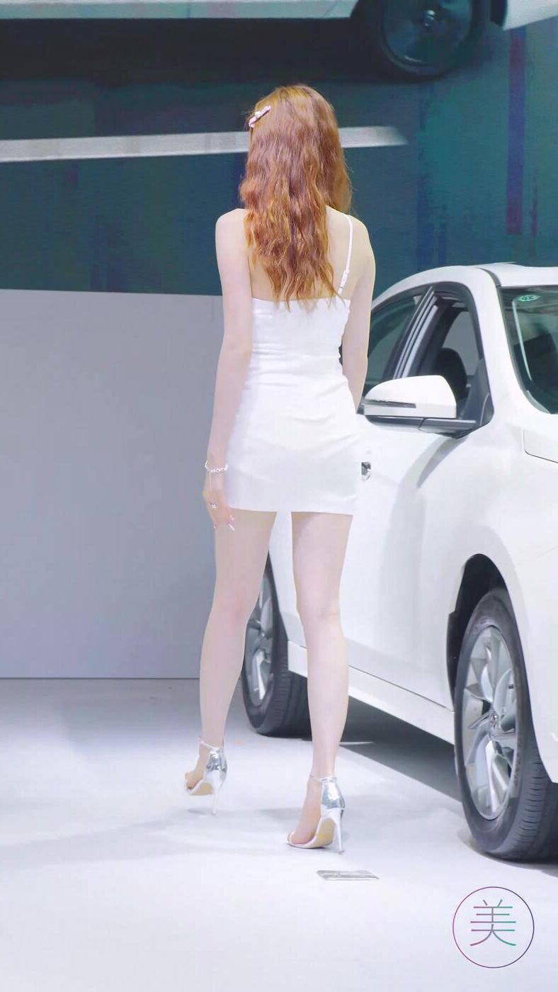 NO.0787 2023 东莞春季车展 Racing Model 啓辰车模 01[1V/337MB]插图3