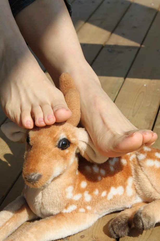 Fannie芬妮美足园 006 2009圣诞快乐！[76P/203MB]-萌图网