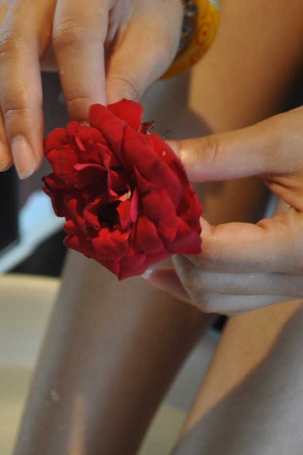 自由摄影 No.221 玫瑰带刺 [37P/36MB]-萌图网