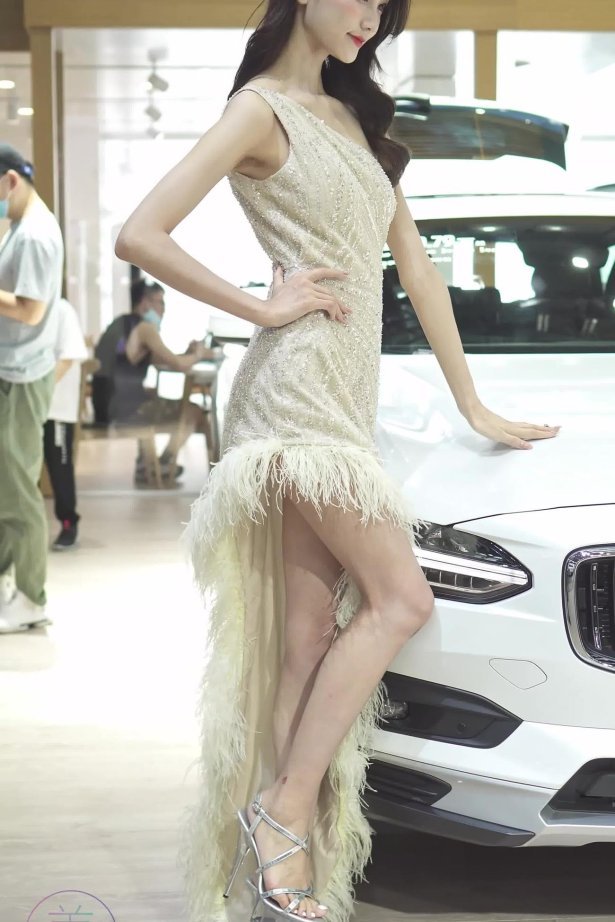 NO.0296 2021 深圳车展 Racing Model VOLVO车模02[1V/246MB]-萌图网