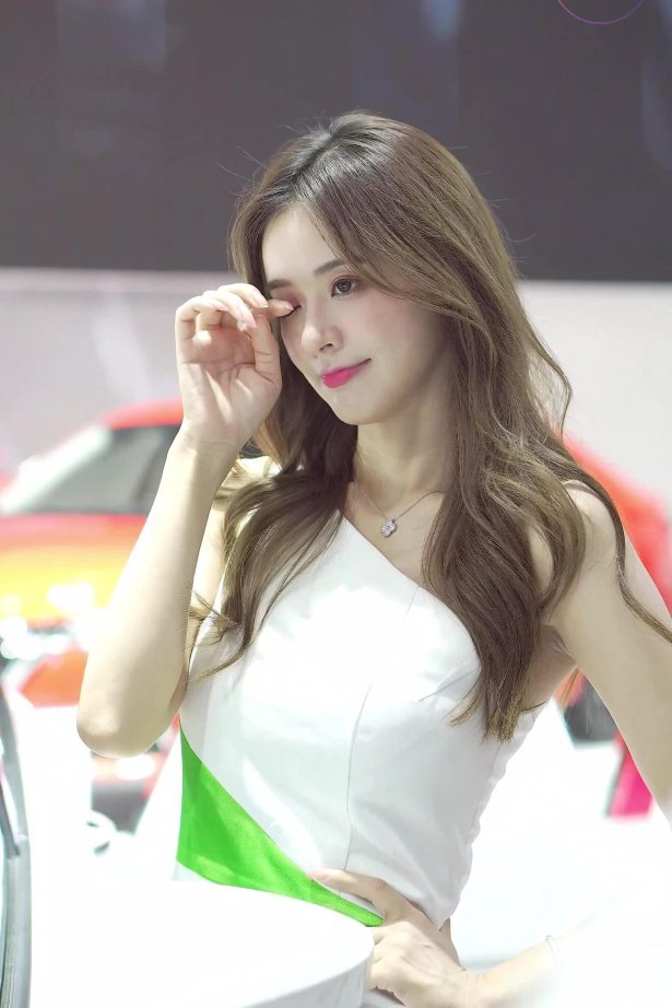 NO.0314 2021 深圳大湾区车展 Racing Model SKODA车模04[1V/487MB]-萌图网